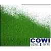 cowi綠茶粉致力于成為綠茶粉行業全球第一供應商